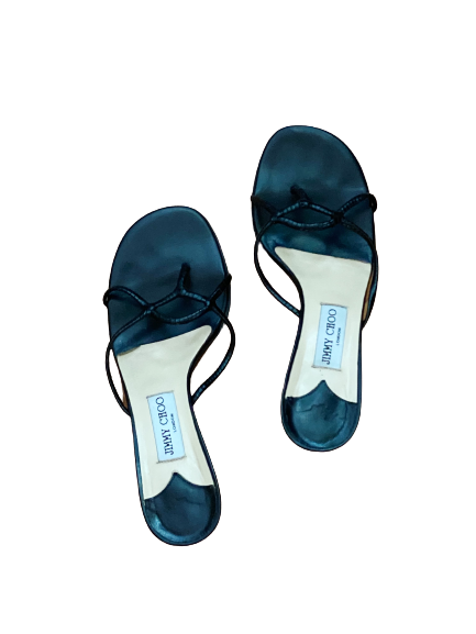 Web Leather Thong Sandals 39